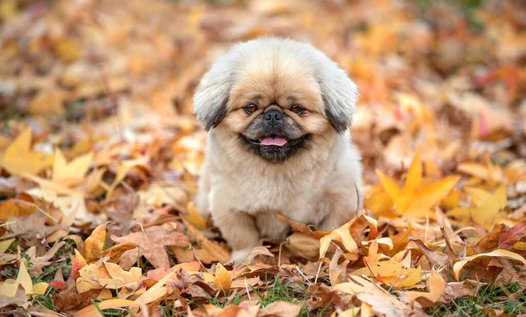 初デートのドタキャンを避けるための成功法則は？