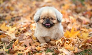 ドタキャン理由が仕事に与える影響とは？