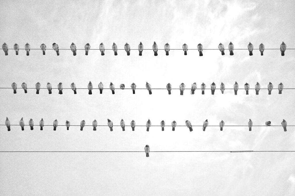 初デートで印象を良くするコツは何ですか？