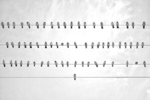 初デートで印象を良くするコツは何ですか？