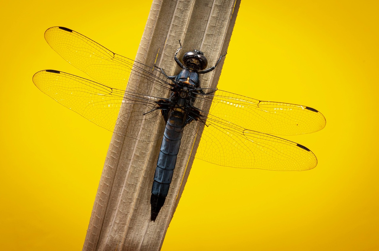 初デートでの取り分けはどこまでがマナー？